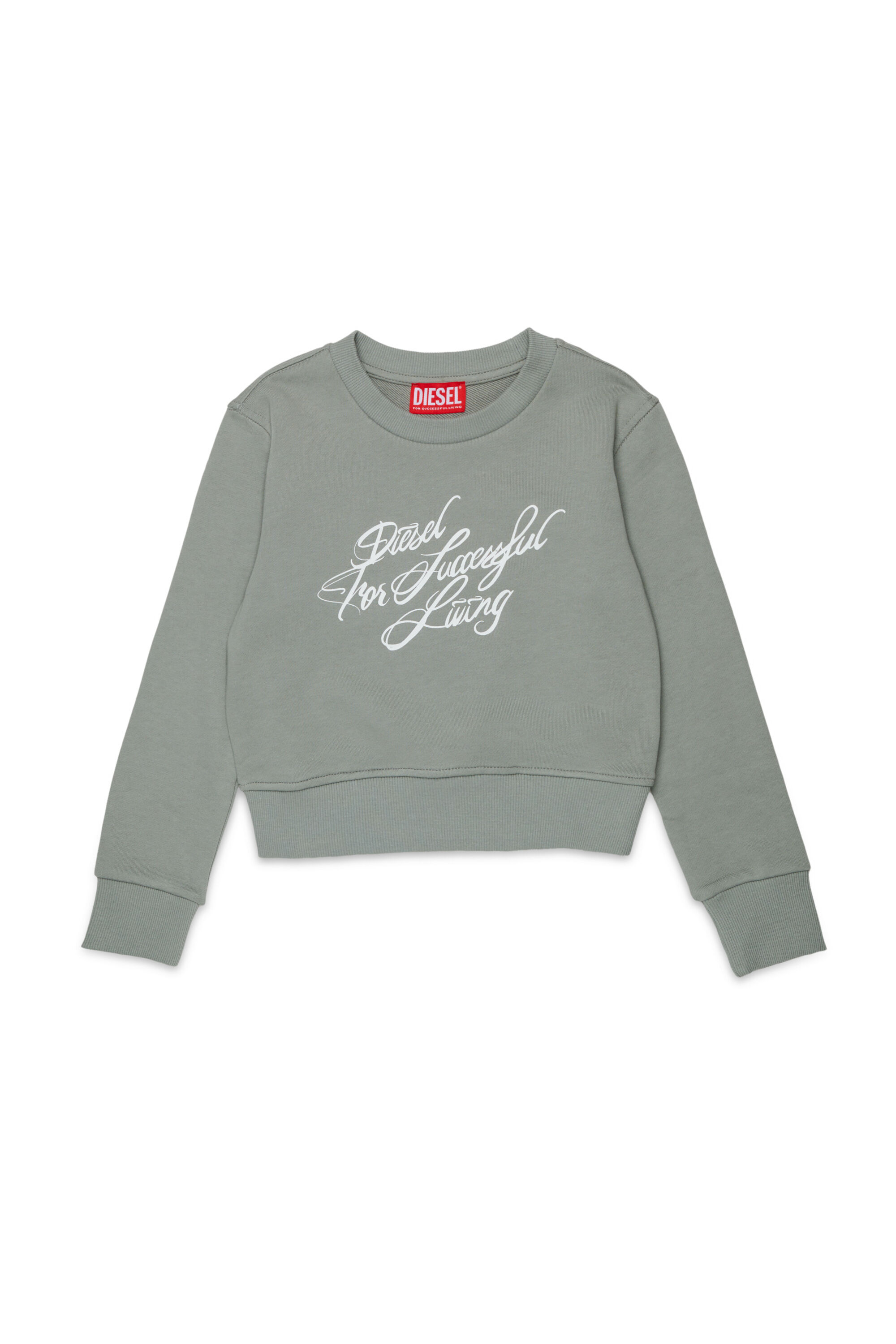 Diesel - SCRIPT, Woman's Cropped sweatshirt with script print in Grey - 1