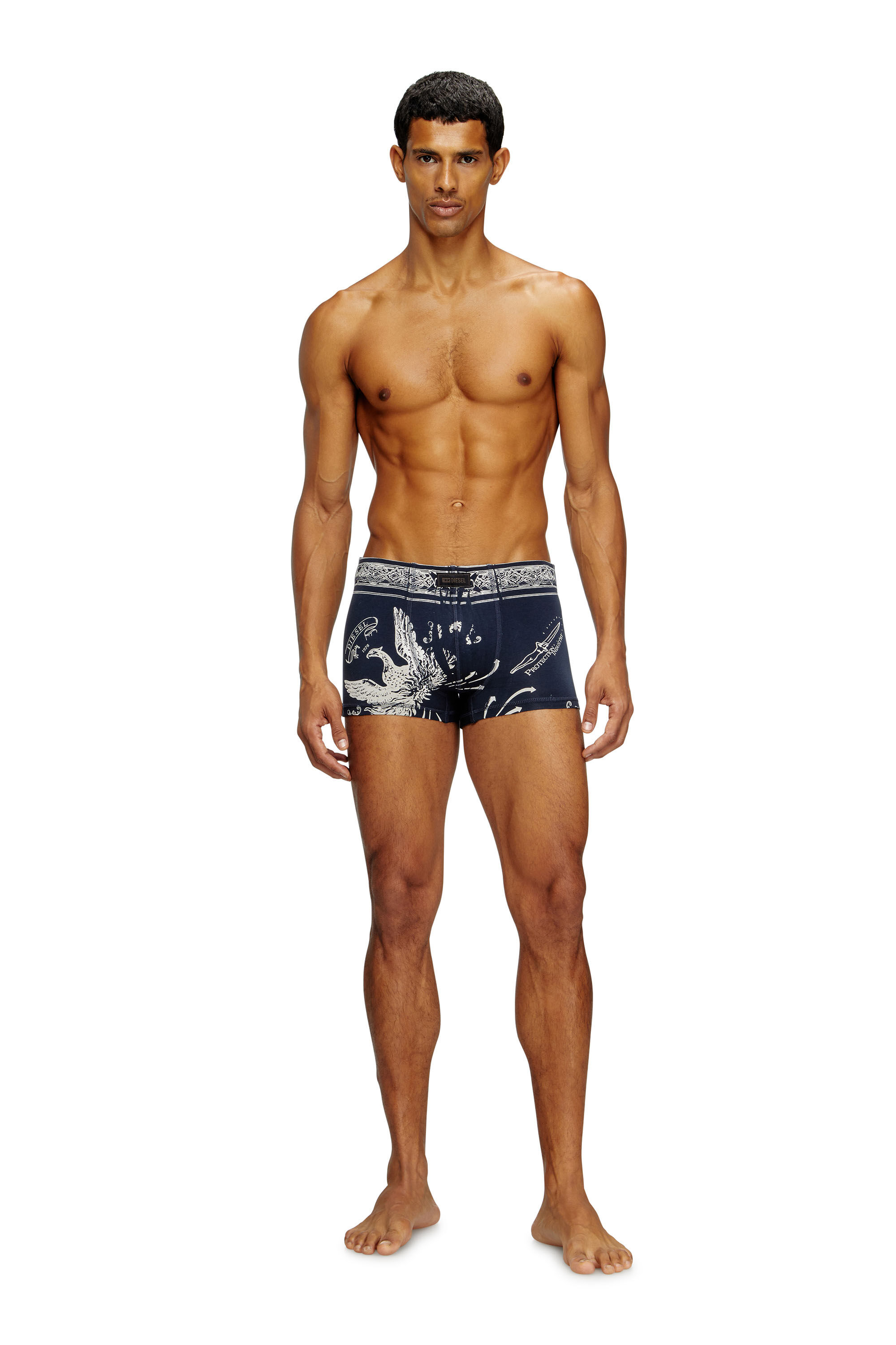 Diesel - DAMIEN-UTLT, Man's Boxer briefs with Phoenix print in Blue - 3