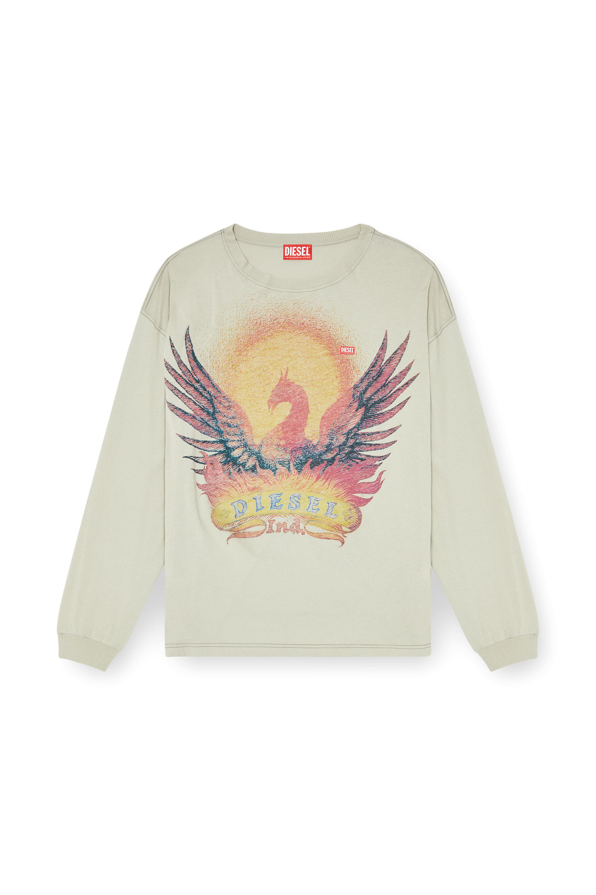 Diesel - T-BOXT-LS-AA1, Man's Long sleeve T-shirt with Phoenix graphic in Beige - 2