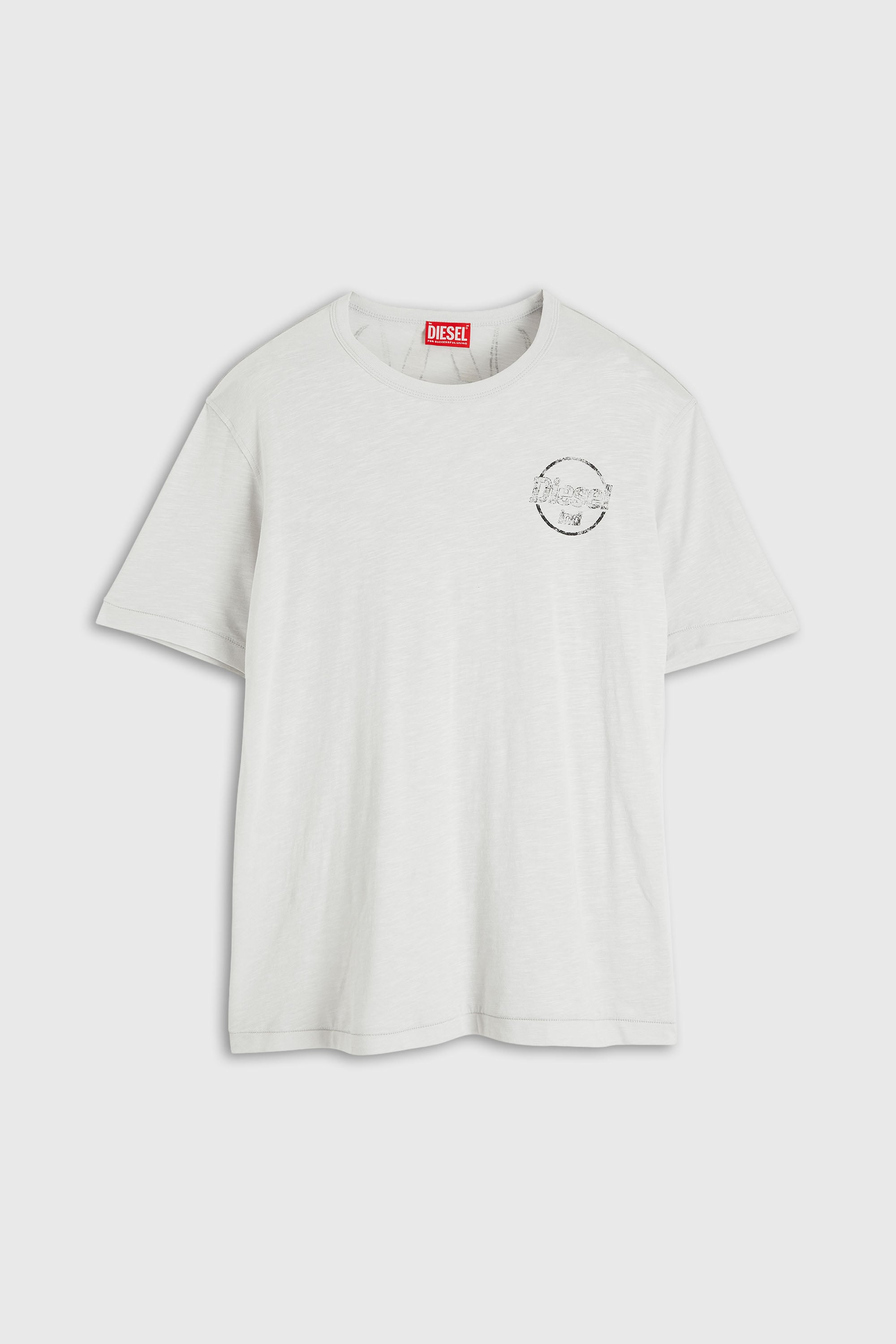 Diesel - T-ADJUST-B11, Man's T-shirt in slub jersey with crack print in White - 2