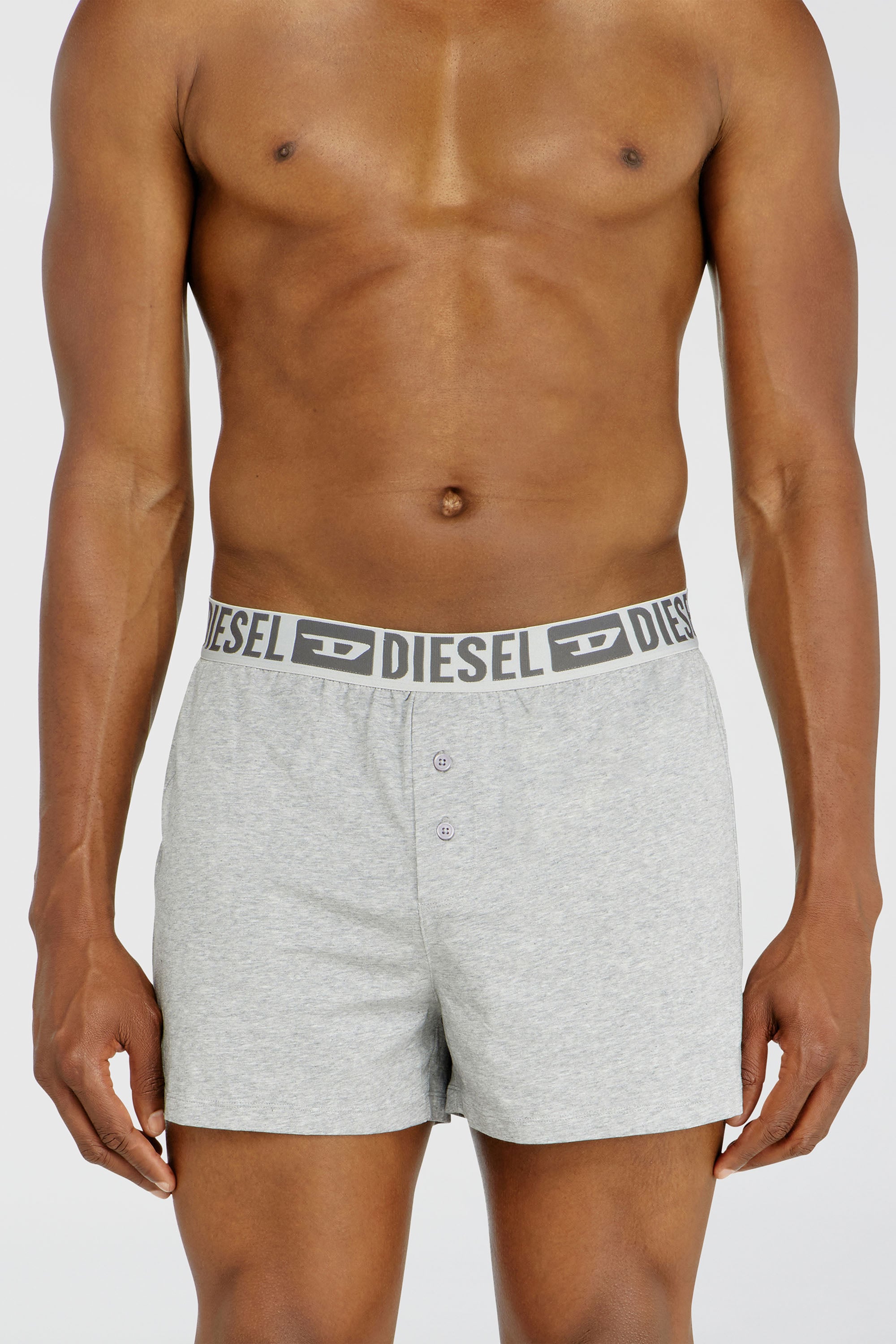 Diesel - STARKIE-D-CORE-2PACK, Man's Two-pack boxer shorts in stretch cotton in Grey - 2