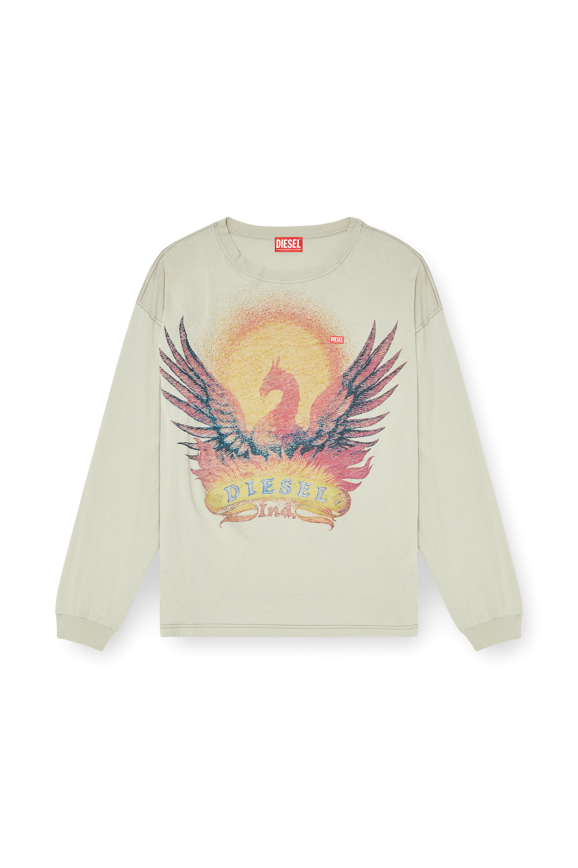 Diesel - T-BOXT-LS-AA1, Man's Long sleeve T-shirt with Phoenix graphic in Beige - 2