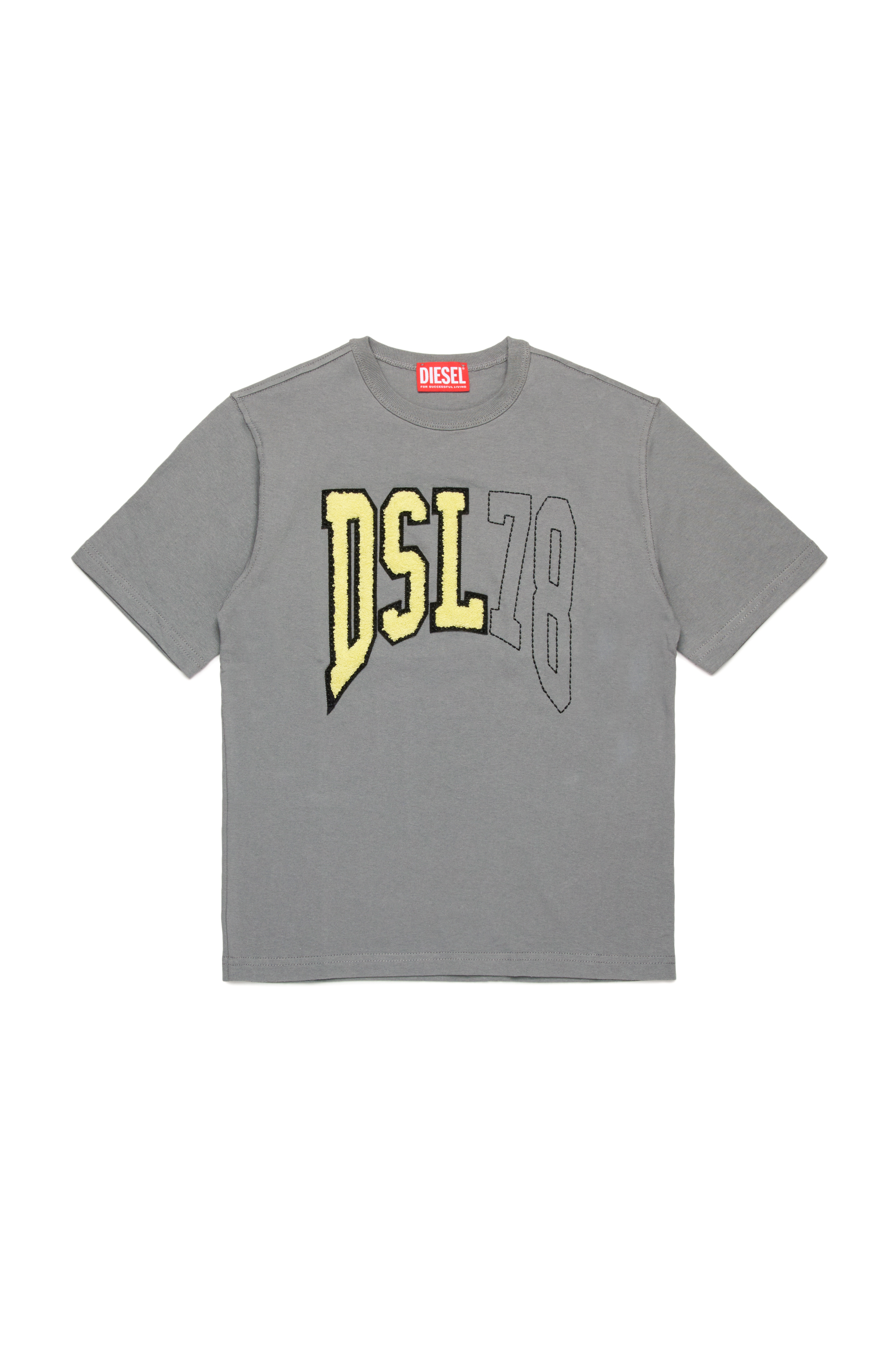 Diesel - TWASHN OVER, Man's T-shirt with collegiate DSL78 logo in Grey - 1