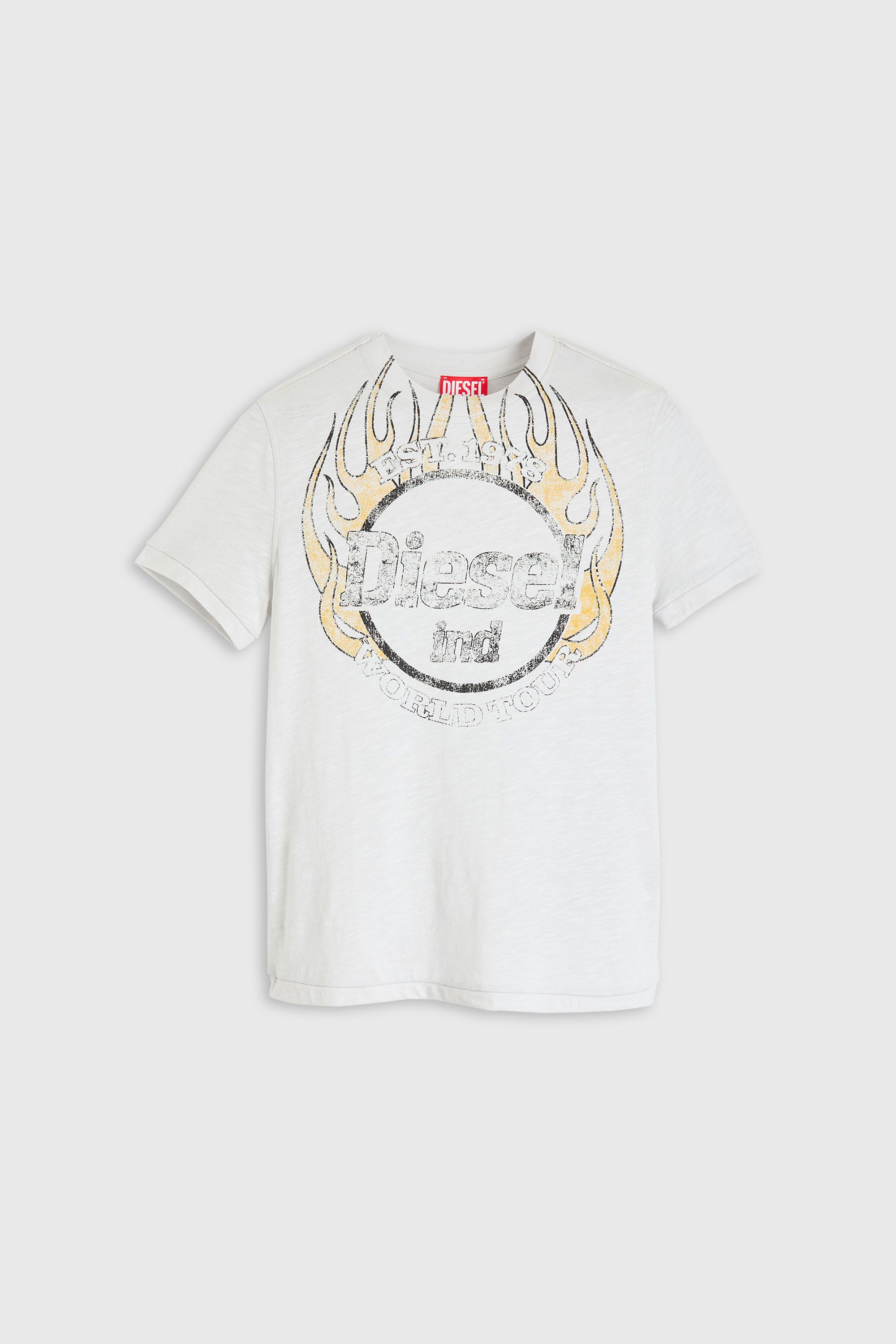 Diesel - T-REG-B1, Woman's T-shirt in slub jersey with crack print in White - 2