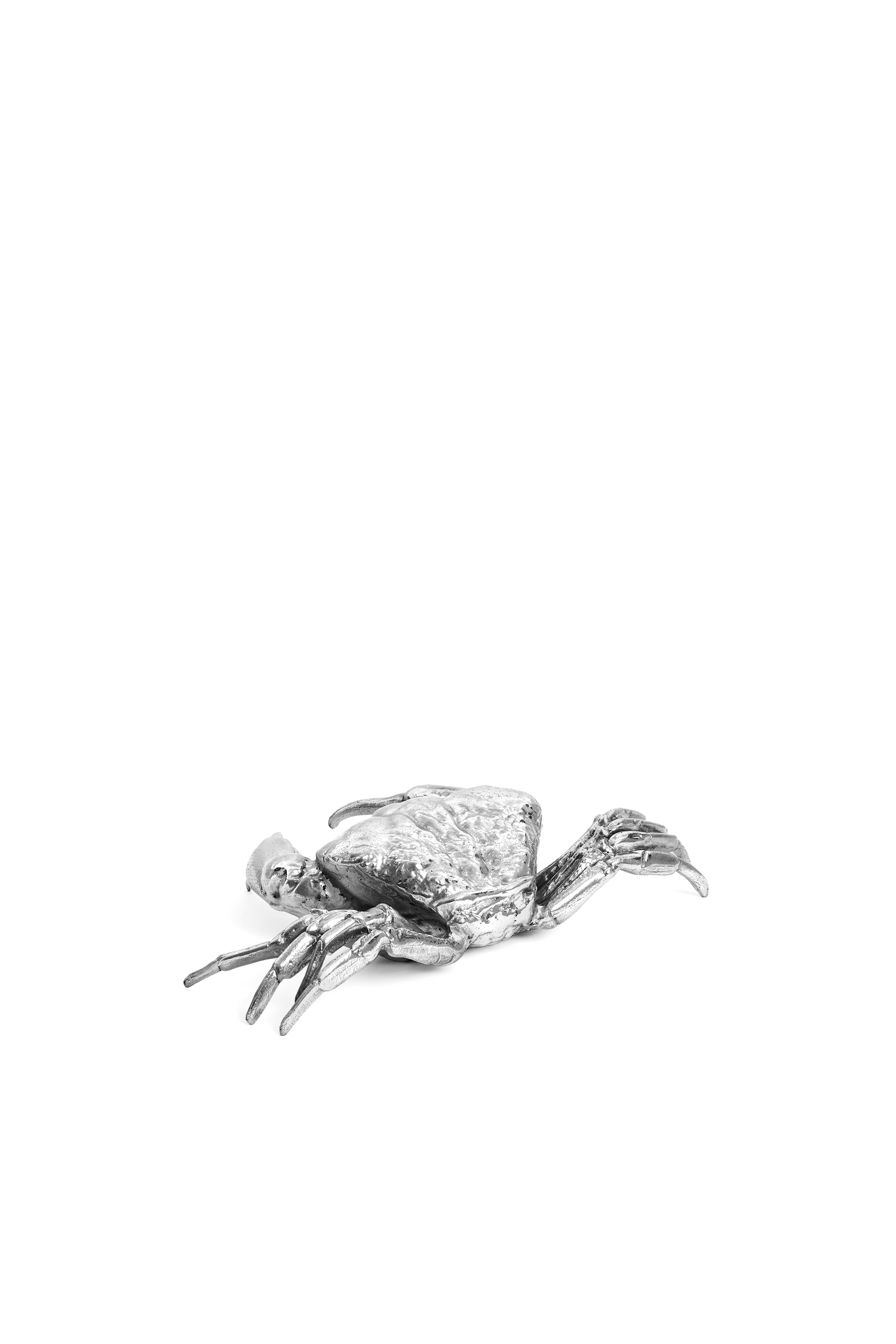 Diesel - 10897 WUNDERKAMMER, Unisex's Wunderkammer "Holy crab home" in Silver - 2